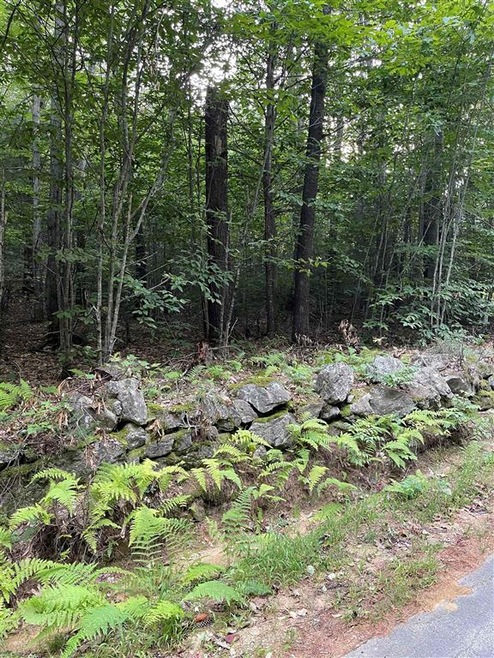 125 Parsons Hill Rd unit Map 9 Lot 12-5, Strafford, NH 03884 - photo 1