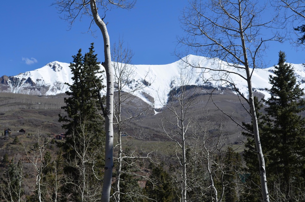 DSC_0867