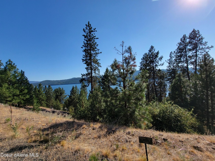 Lt 6 Blk 3 Dusk, Harrison, ID 83833 - photo 1