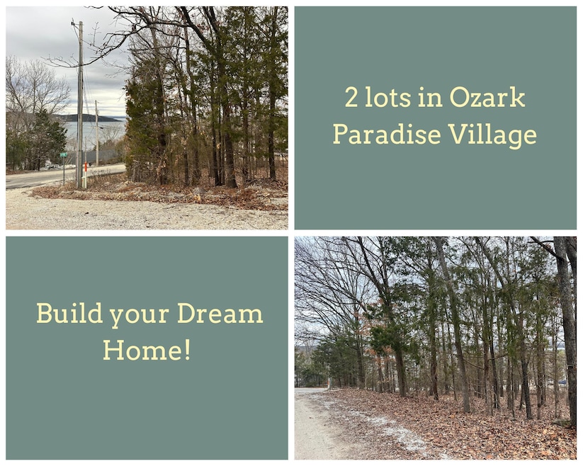 Lot 126 & 127 Mockingbird Ct Ridgedale (
