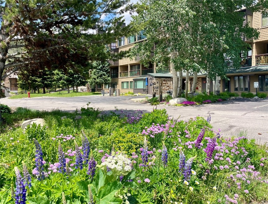 Beautifully landscaped summer
