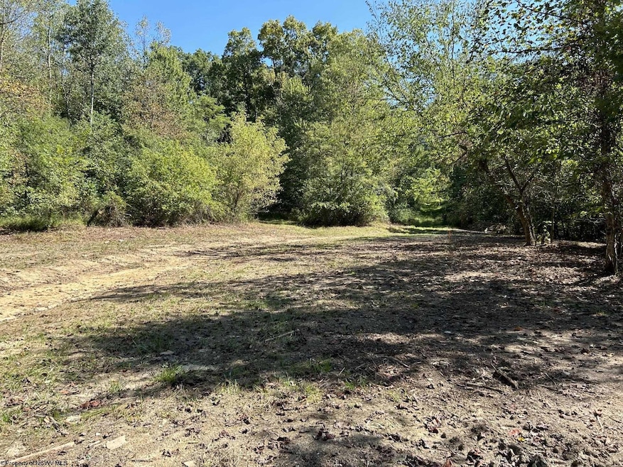 Lot 2 E Run Cir, Four States, WV 26591 - photo 1