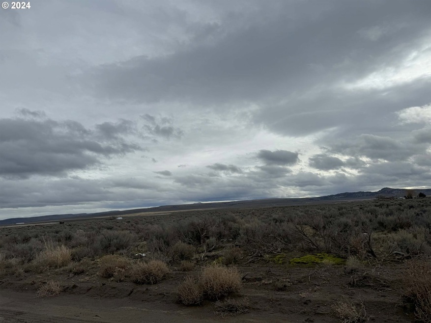 0 E Thorn Ln unit TL 2200 24476925, Christmasvalley, OR 97641 - photo 1