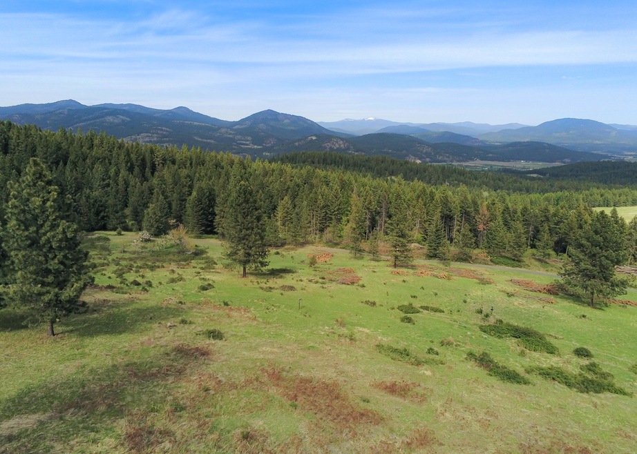 19XX Dry Creek Rd, Chewelah, WA 99109 - photo 1