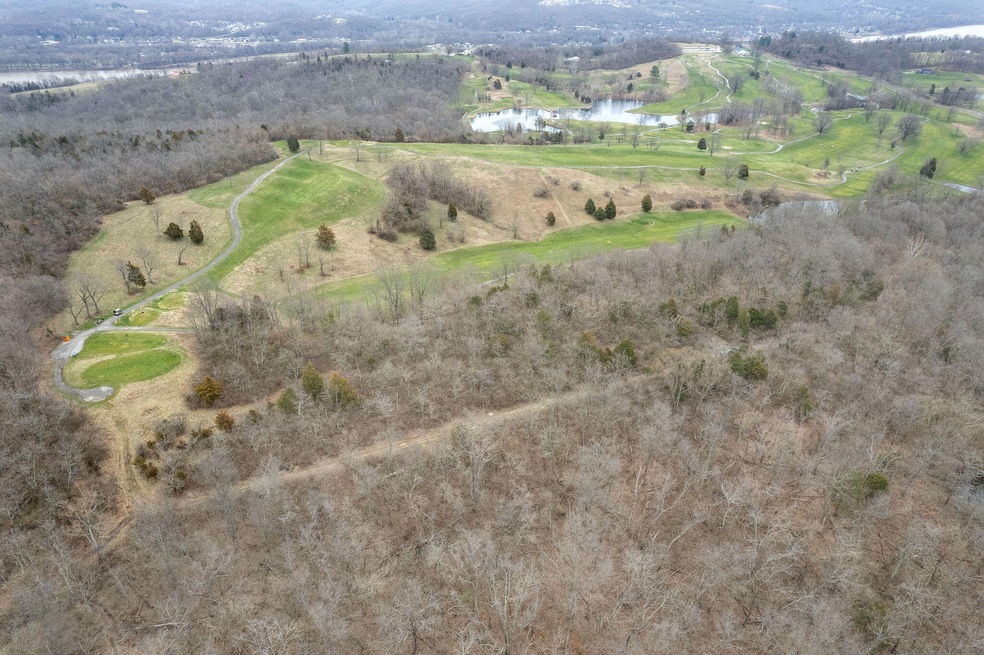 DJI_0124