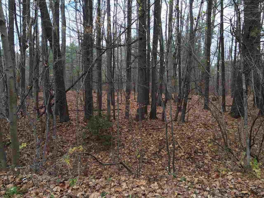 0 Station Ln, Saratoga Springs, NY 12866 - photo 1