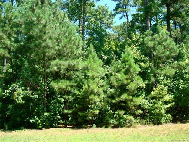 Lot 62 Firethorn Ct, Denver, NC 28037 - photo 1