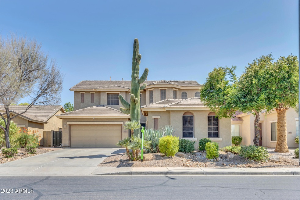 283 W Hawk Way-2