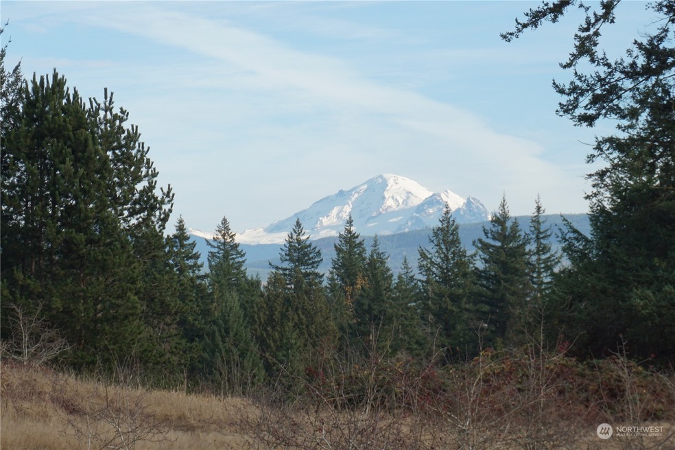 0 Kelly Rd unit NWM2182792, Bellingham, WA 98226 - photo 1