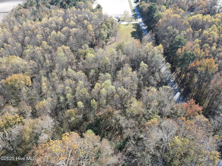 Lot 1 Alton Phillips Rd, Kinston, NC 28504 - photo 1
