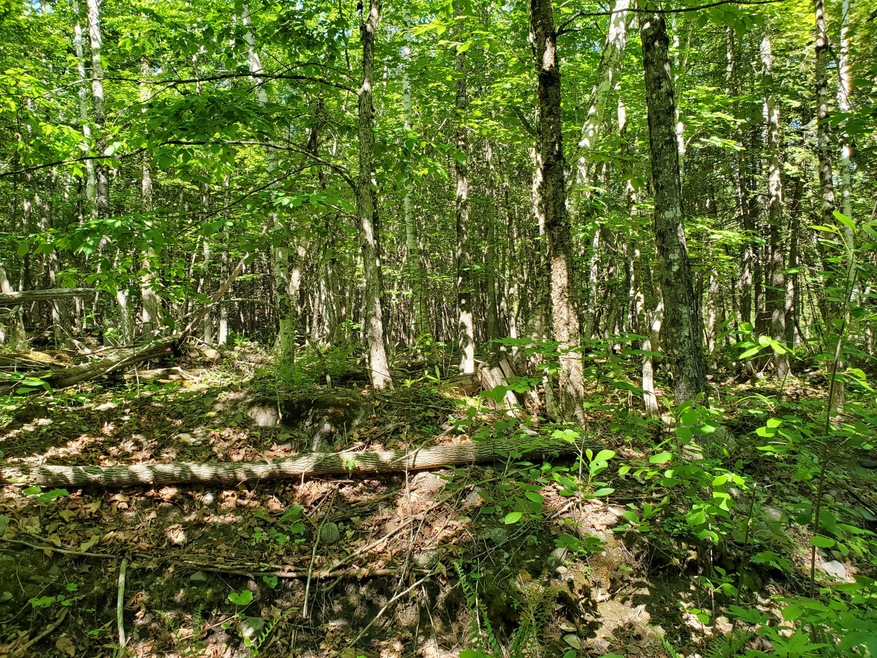 20200615_092539