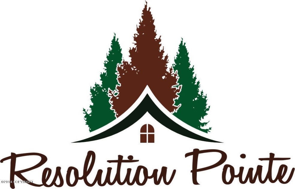 Resolution Pointe Logo