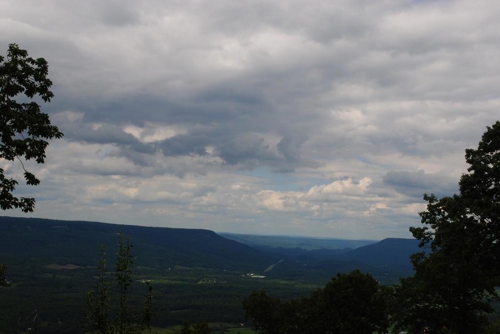 DSC_1375 (1024x685)