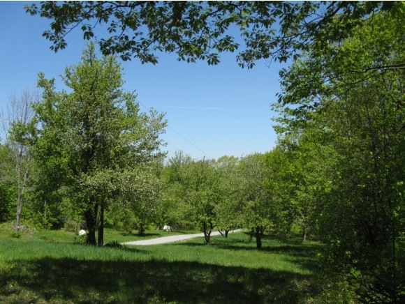 0 Brook Rd, Goshen, NH 03752 - photo 1