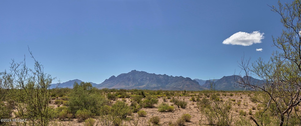 Chiricahua Panorama from Property center