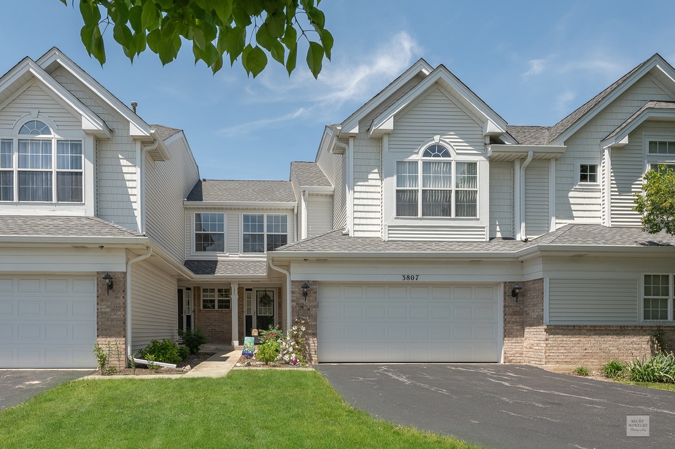 3807 Capri Ct, Naperville, IL 60564 - photo 1