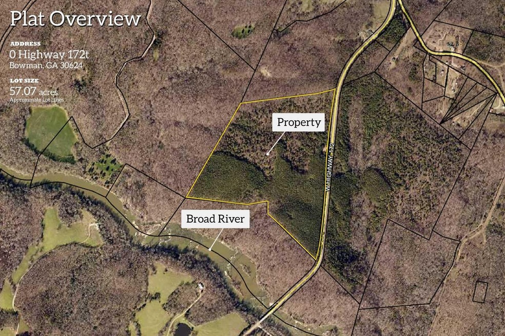 0 Highway 172 unit 9034253, Bowman, GA 30624 - photo 1