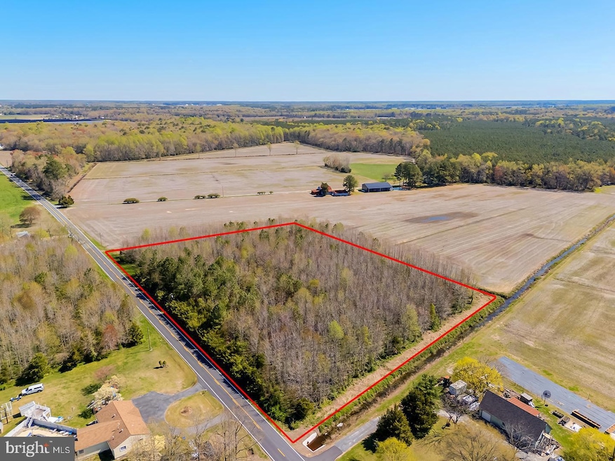 0 E Trap Pond Rd unit DESU2083648, Georgetown, DE 19947 - photo 1