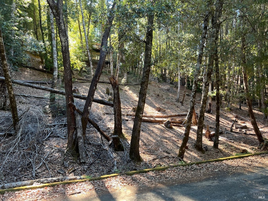 27208 Bear Cir, Brooktrails, CA 95490 - photo 1