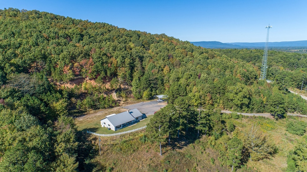 128 Polk Road 42, Mena, AR 71953 - photo 1