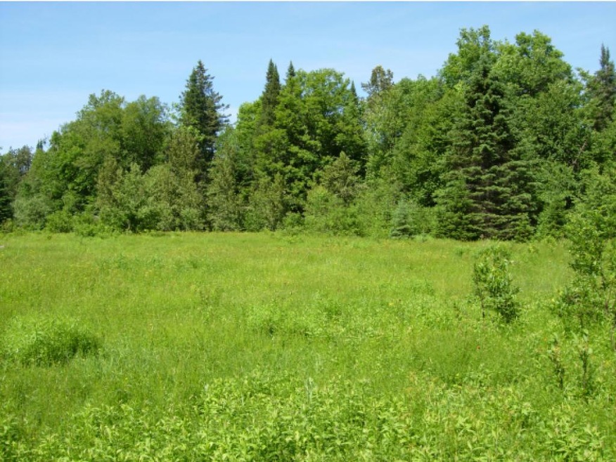 Lot 14 A Crescent Beach Extension, Morgan, VT 05853 - photo 1