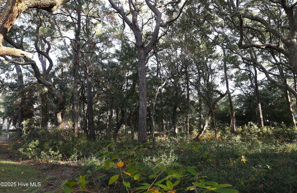 111 SE 78th St, Oak Island, NC 28465 - photo 1