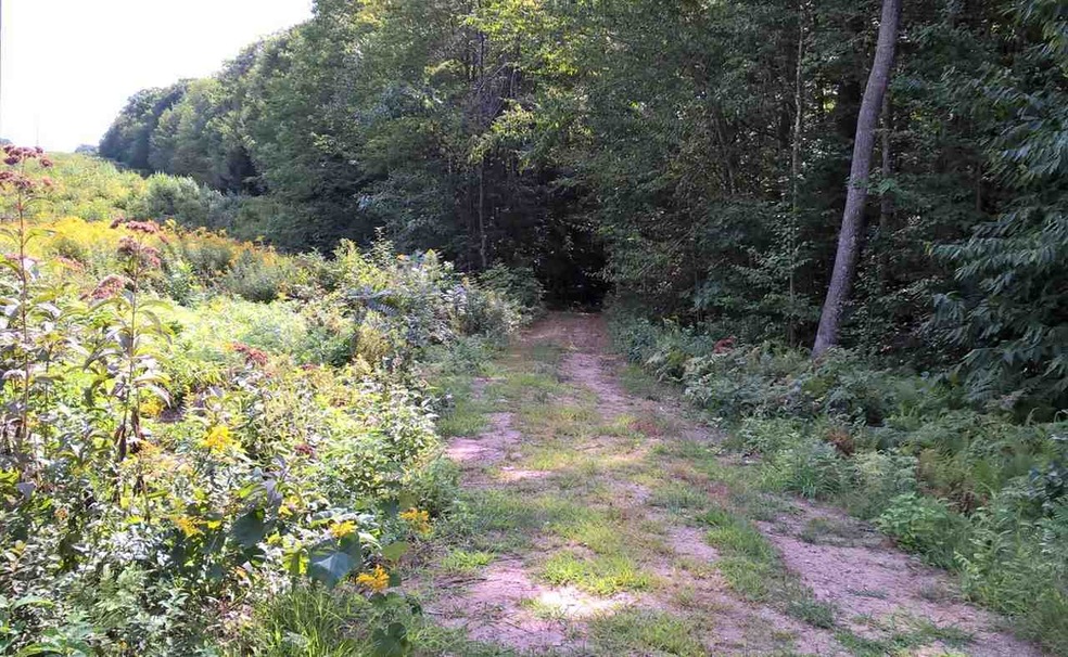 0 Bolton Rd, Winchester, NH 03470 - photo 1