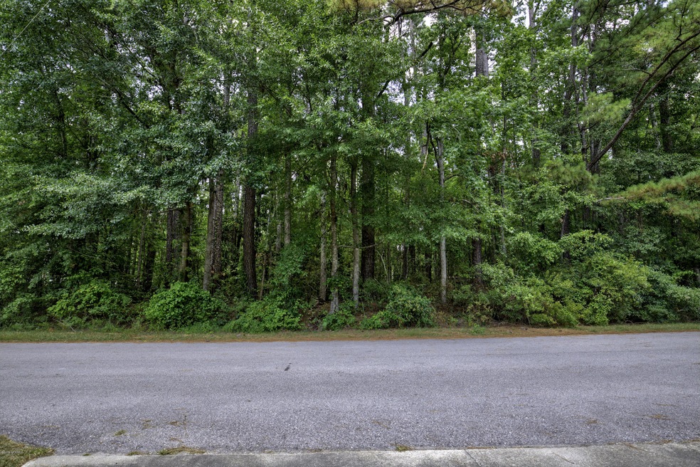 Lot 5 Greenway Dr, Jacksonville, NC 28546 - photo 1