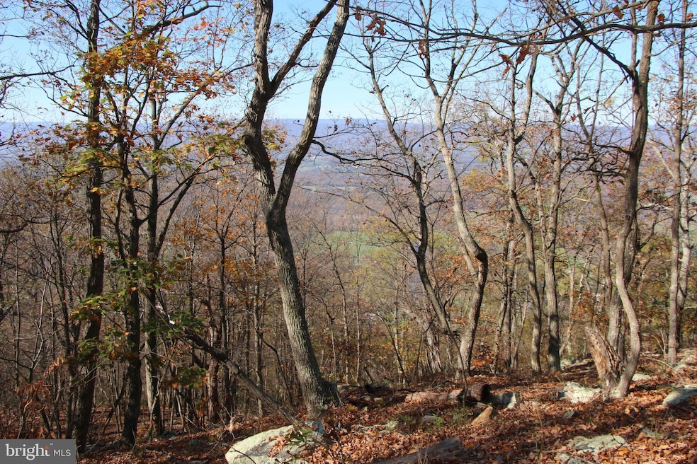 0 Cedar Rd, Strasburg, VA 22657 - photo 1