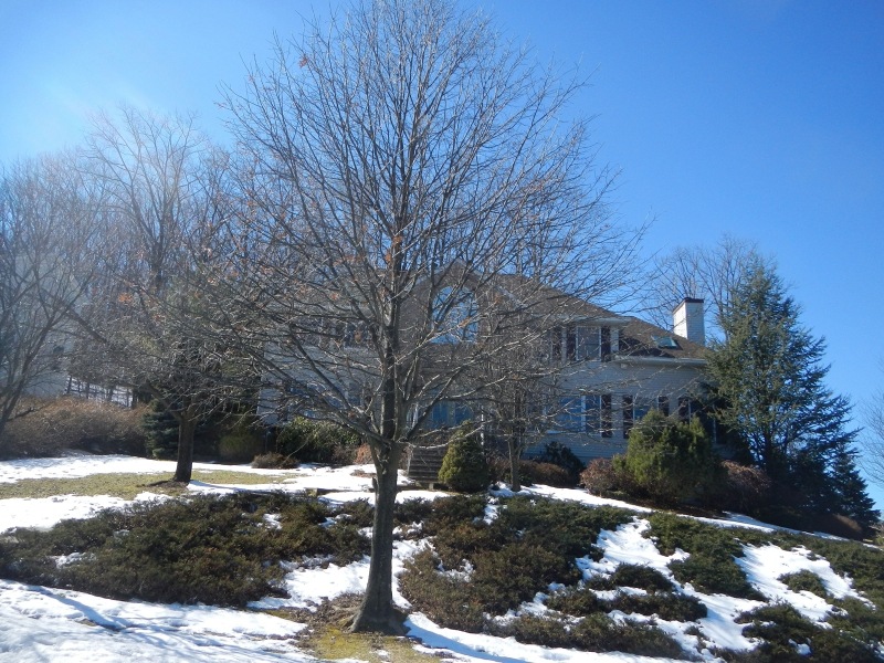 10 Legion Ct, Rockaway, NJ 07866 - photo 1