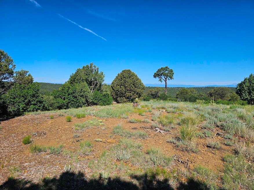 33021 Big Springs Overlook, Trinidad, CO 81082 - photo 1