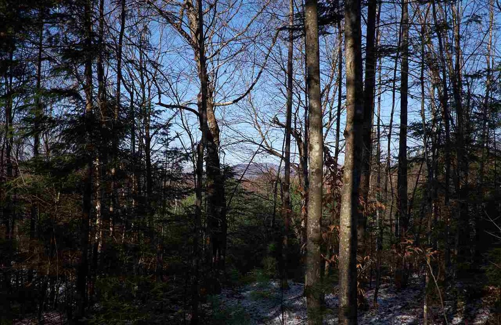 5-23 N Littleton Rd, Littleton, NH 03561 - photo 1