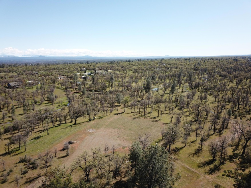 DJI_0021