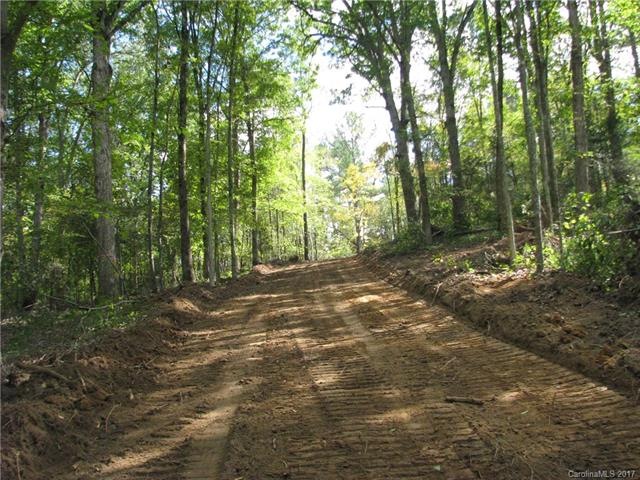 Interior Road thru Big Oaks