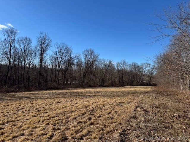 202 Brayman Hollow Rd, Pomfret Center, CT 06259 - photo 1