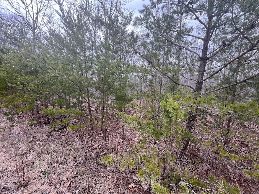 0 Maple Dr unit 20251539, Pikeville, TN 37367 - photo 1