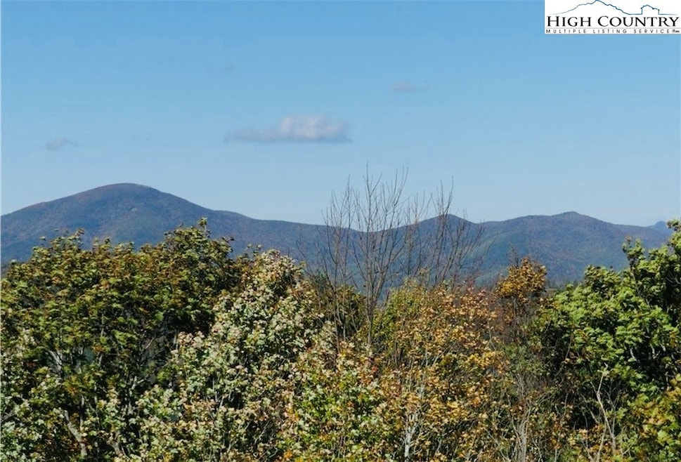 TBD Fire Tower Rd, Boone, NC 28607 - photo 1
