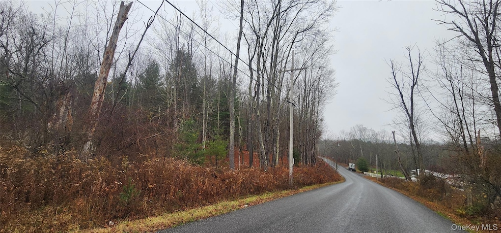 0 Thompsonville Rd, Thompson, NY 12701 - photo 1