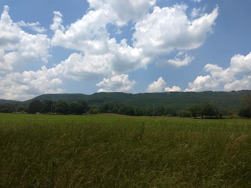 31 acres of beauty!