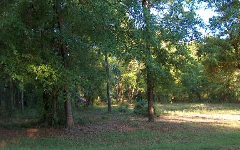 939 Scenic Lake Dr, Lake City, FL 32055 - photo 1