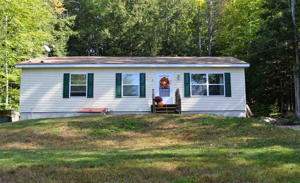 76 New Hampshire Dr, Webster, NH 03303 - photo 1