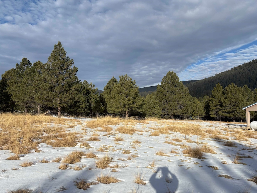 10 Copper Canyon Ct unit 10, Cloudcroft, NM 88317 - photo 1