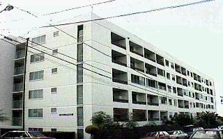 View of Bldg fr Pohaku St.