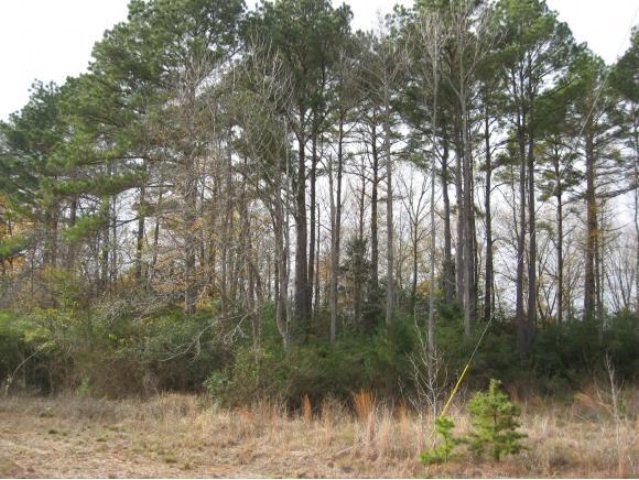 4.371 ac U S 59, Nacogdoches, TX 75965 - photo 1