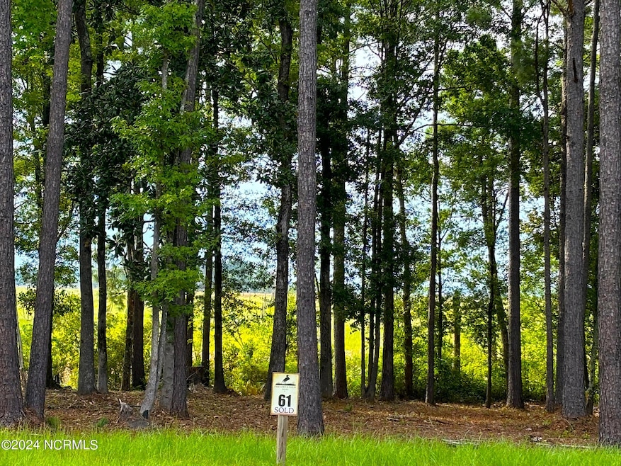 lot 61 front