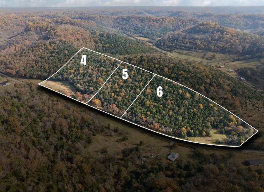 0 Club Springs Rd unit RTC3048648, Elmwood, TN 38560 - photo 1