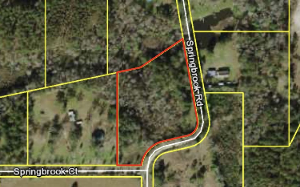 0 Springbrook Rd unit 317217, Havana, FL 32333 - photo 1