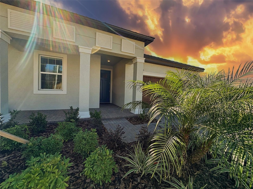 17216 Mango Shay Ct, Land O' Lakes, FL 34638 - photo 1