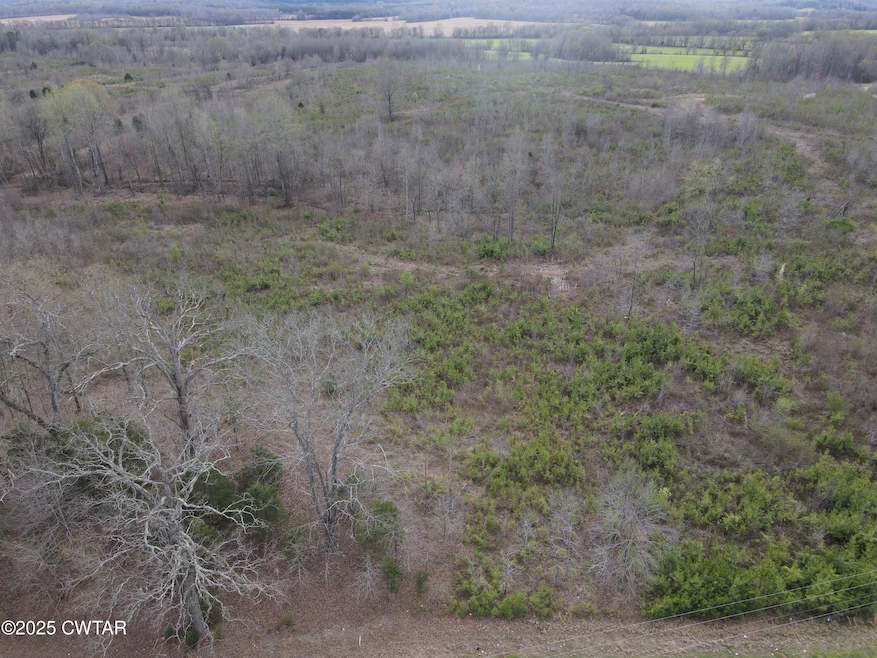 dji_fly_20250325_171146_870_174293724437