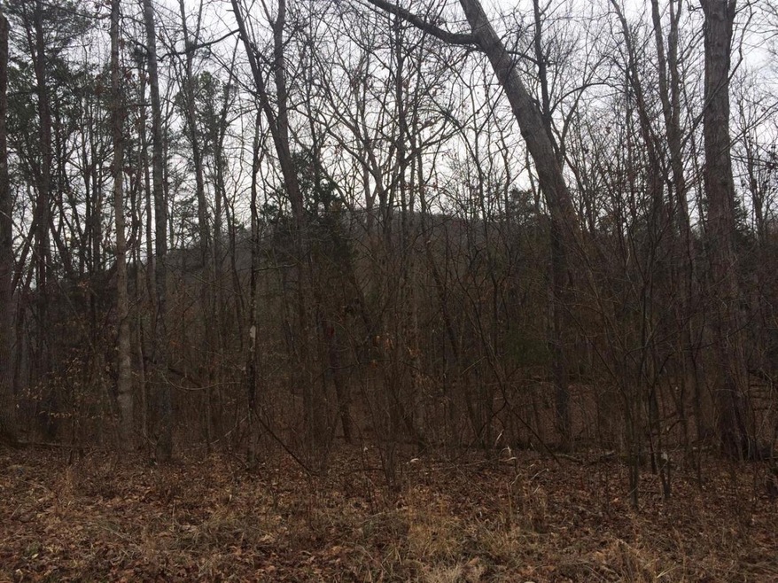 58 Lakeview Rd unit 3, Burnside, KY 42519 - photo 1